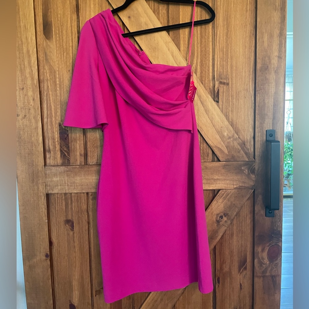 Belle Badgley Mischka‎ Josie Pink One Shoulder Dress